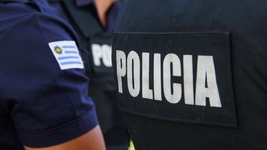 Un mono y drogas incautadas además de ocho detenidos fue el resultado de diez allanamientos en el Cerro