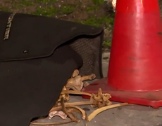 Encontraron un cráneo humano y otros restos óseos en el Cerrito de la Victoria